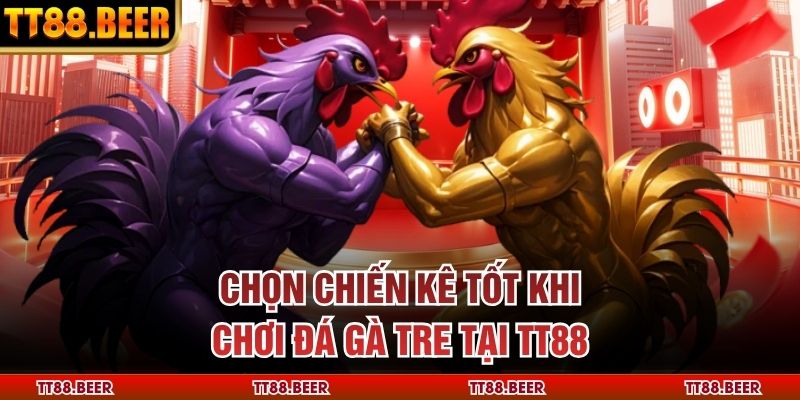 Chọn chiến kê tốt khi chơi đá gà tre tại TT88